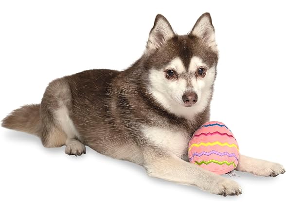 Midlee Easter Egg Plush Dog Toy