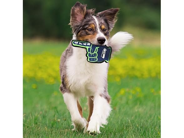 NFL #1 FAN TOY for DOGS & CATS