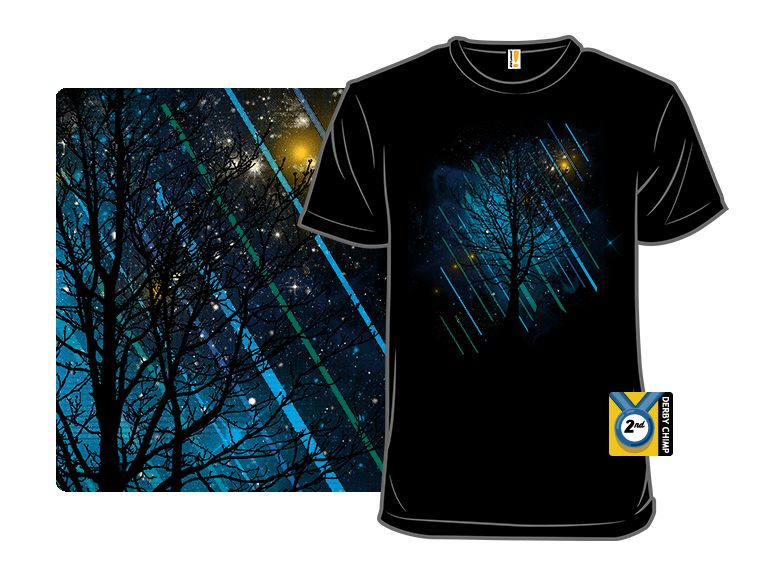 Northern Night - Gallery 8