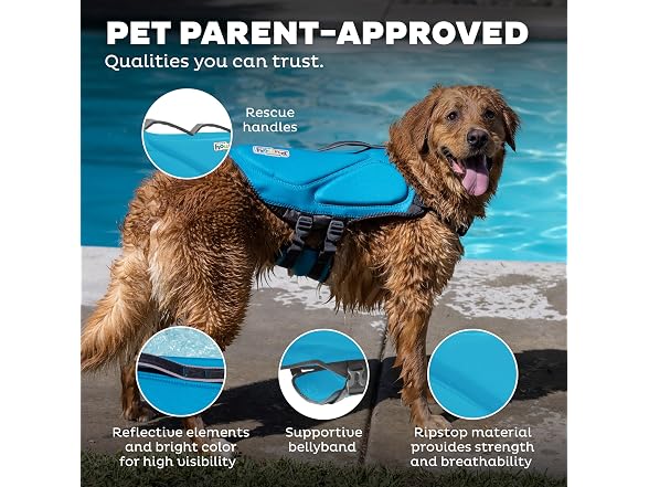Outward Hound Dawson Swim Dog Life Jacket, H