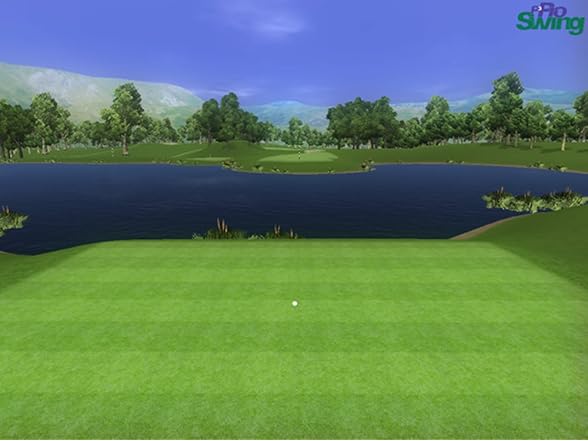 P3ProSwing Pro Package for Clubs