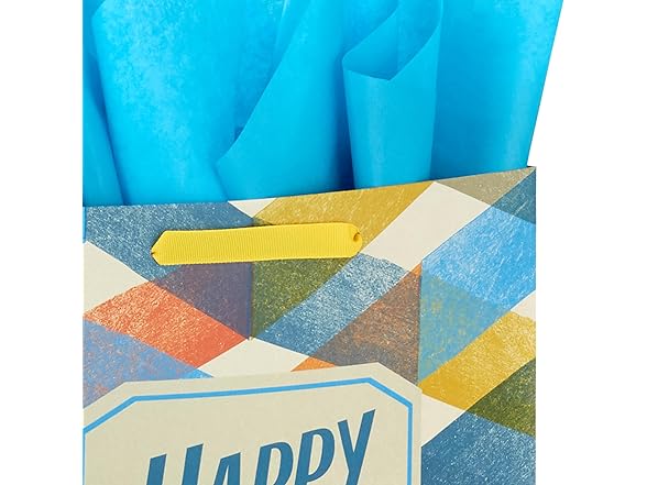 Hallmark 17" Father's Day Gift Bag