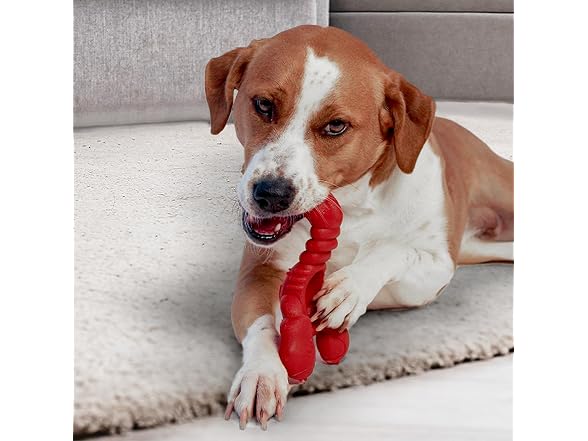 Nylabone Lobster Power Chew Toy for Dogs, Dog