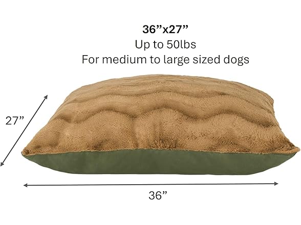 Furhaven Large Plush & Twill High-Loft Pillow Pet Bed, Fir