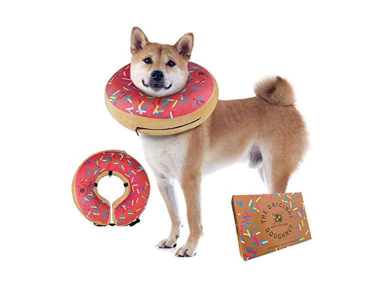 DIRTY LITTLE PAWS Dog Donut Collar