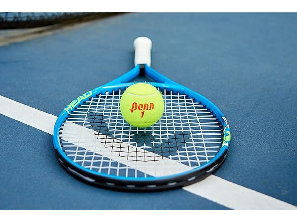 Penn Championship Tennis Balls 12 Cans