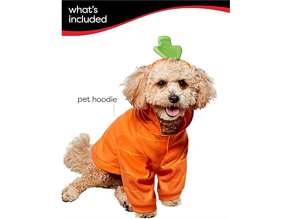 Rubies Carrot Pet Costume for Dogs or Cats, Medium