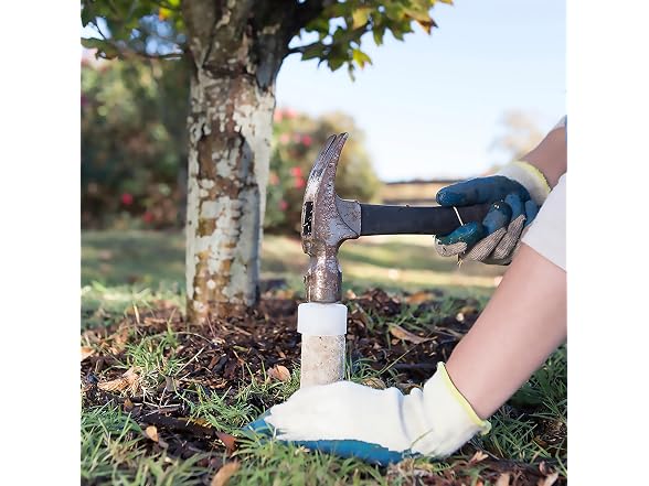 Jobe’s Organics Evergreen Fertilizer Spikes