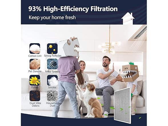Demiwise 16x25x4 Resuable & Washable Electrostatic Air Filter