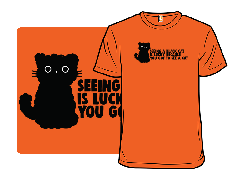 Seeing a Black Cat
