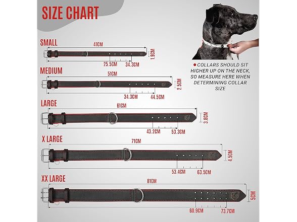 Riparo Adjustable Leather Dog Collar