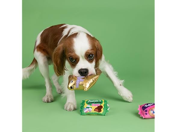 Fringe Studio Plush Dog Toy, 3 Pieces Set, Egg-STRA