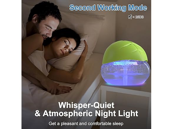 Water-Based Air Purifier Revitalizer