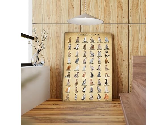 BASYEEO Cat Breeds Poster