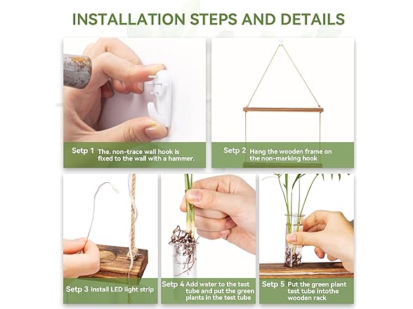 Yqlinnn Wall Hanging Plant Propagation