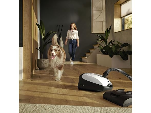 Miele Classic C1 Cat & Dog Bagged Canister Vacuum
