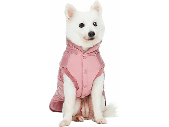 Blueberry Pet Windproof Quilted Winter Jacke