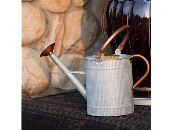 HORTICAN 1 Gallon Metal Watering Can