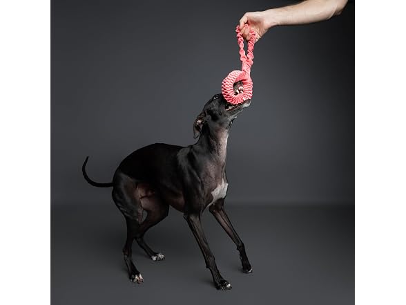 NOAH & PAW Luxury Dog Toy, Dog Rope Toy- Tug Ring, Pink