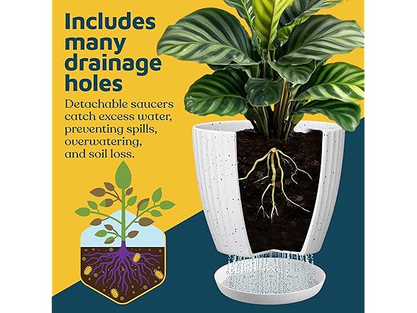 6" Plant Pots w/ Saucers 24pk