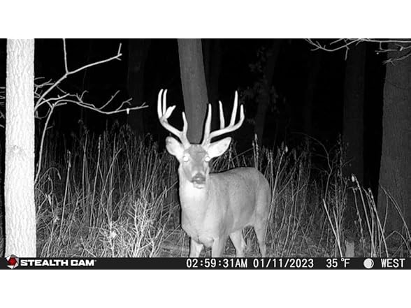 (3 PACK) Stealth Cam Connect Max Trail Camera