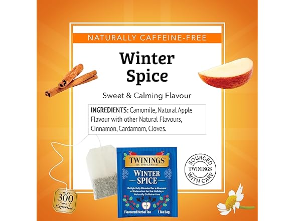 20CT Twinings Winter Spice Herbal Tea