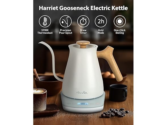 Harriet Gooseneck Electric Kettle