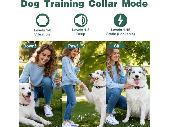 Veconix Wireless Dog Fence System