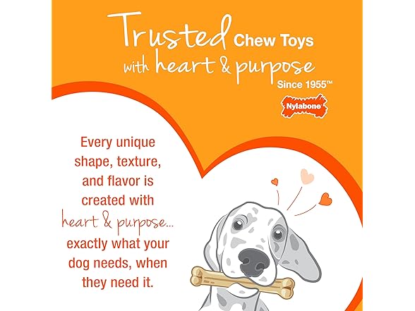 Nylabone Power Chew Original Bone- Medium