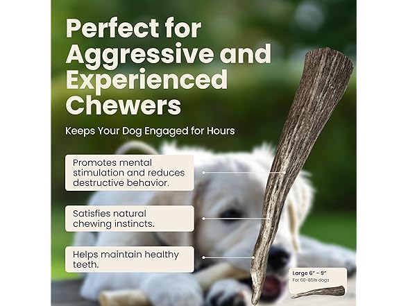 The Proper Hound Whole Elk Antlers for Dogs Sz L