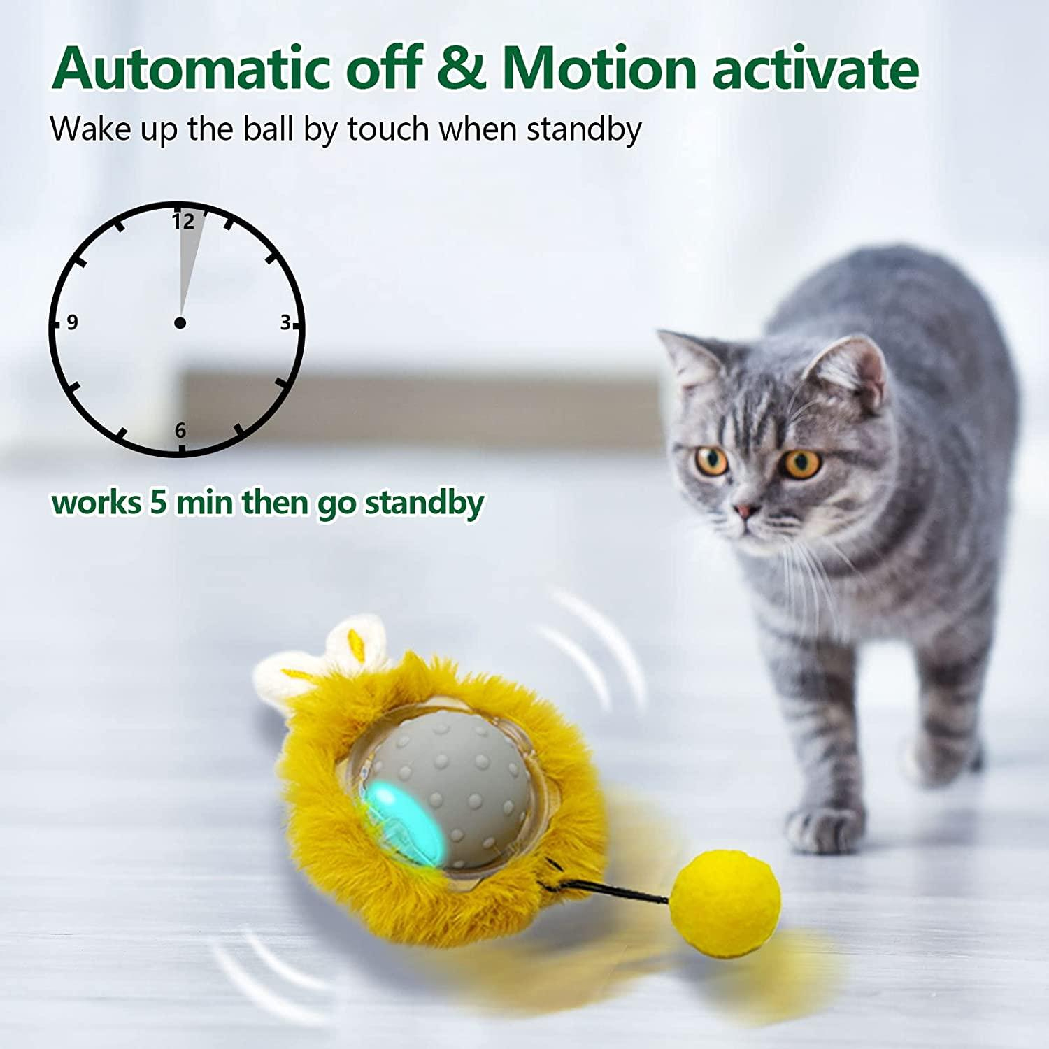 Electric Cat Toy - Gallery 8