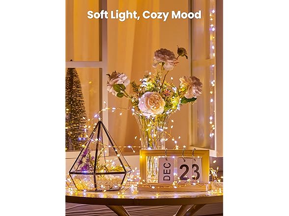 Brightown Twinkle Lights Battery Operated with Timer
