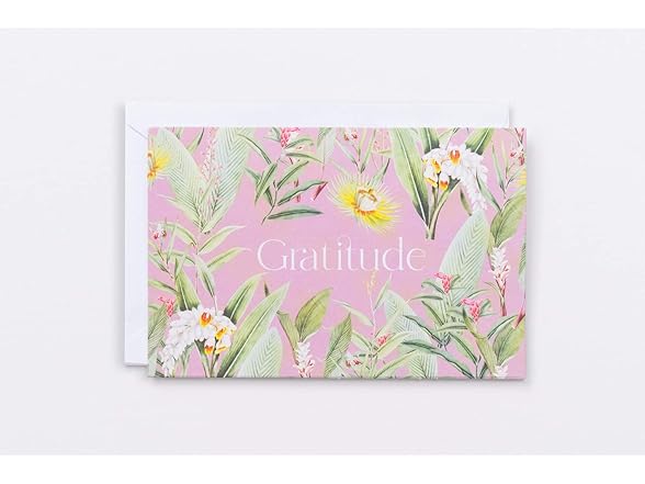 Polite Society Assorted Greeting Cards