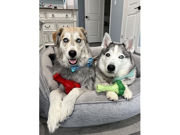 Nylabone Lobster Power Chew Toy for Dogs, Dog