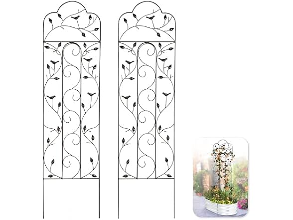 Idzo 60in 5ft 100% Metal Garden Trellises