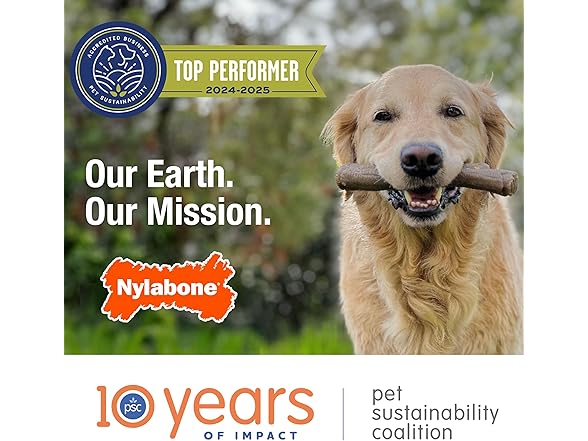 Nylabone Limited Edition 70th Birthday Textured Bone