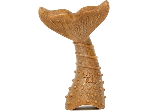 The Chew Club Power Bone Pet Chew Toy for Dogs