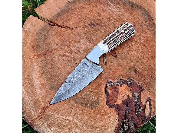 Vetus Hunting Knife Stag Handle Damascus 8"