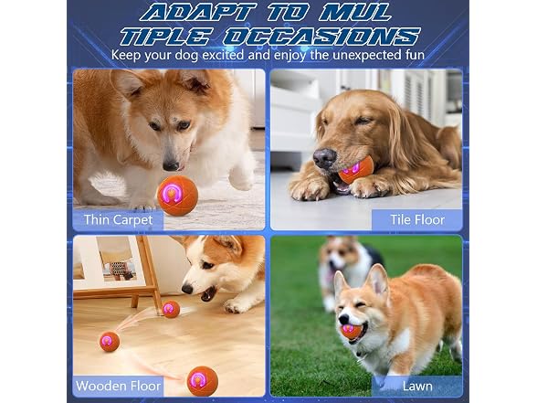 Shaky Ball Toy for Dogs,Shaking Dog Ball,Inte