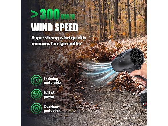 DAILYLIFE Electric Cordless Leaf Blower