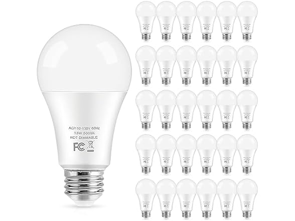 30 Pack- 5000K Daylight White