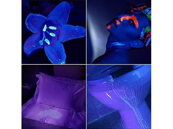 NICRON UV Flashlight