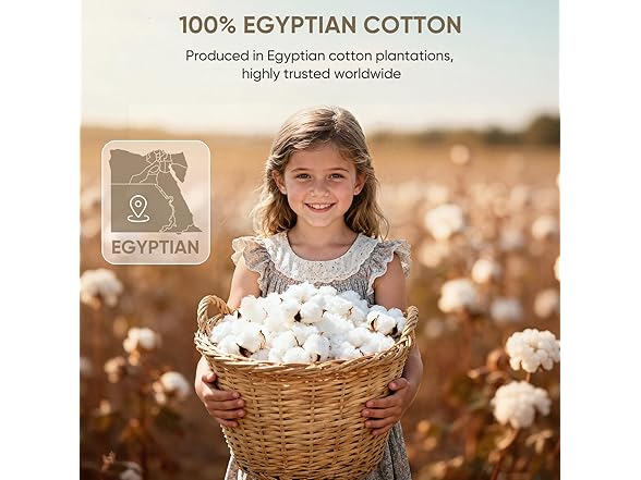 Egyptian Cotton Bed Sheets Set