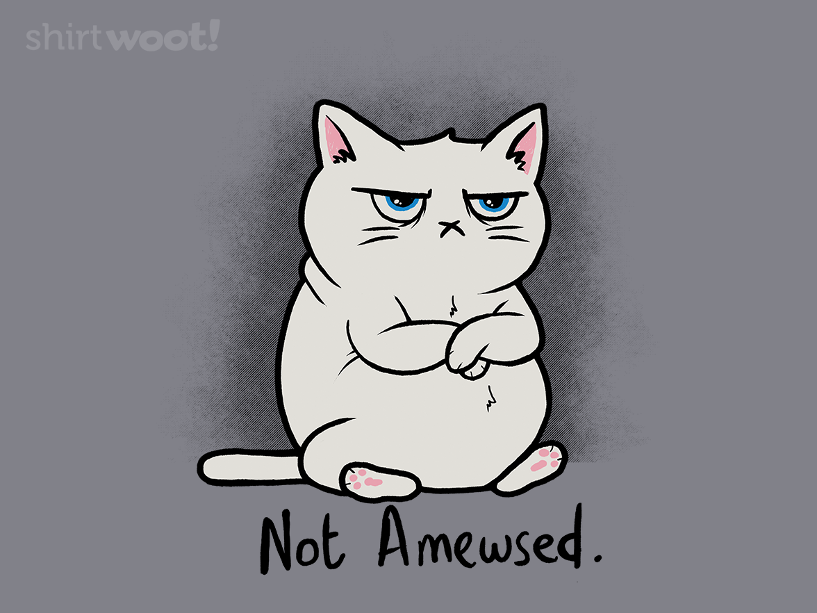 Not Amewsed - Gallery 4