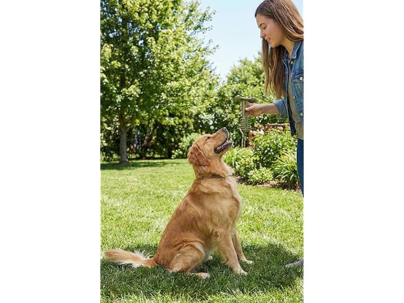 SPOT Bam-Bones Plus Toothbrush Dog Chew Toy