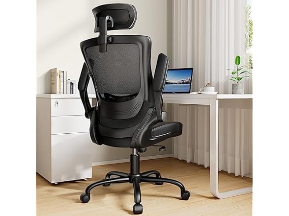 Totnz Ergonomic Office Chair w/Mesh Back