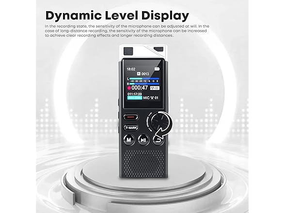 Professional Digital Voice Recorder | 264GB