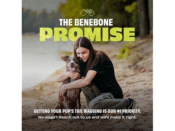 Benebone Natural Rubber Ball, 2-Pack