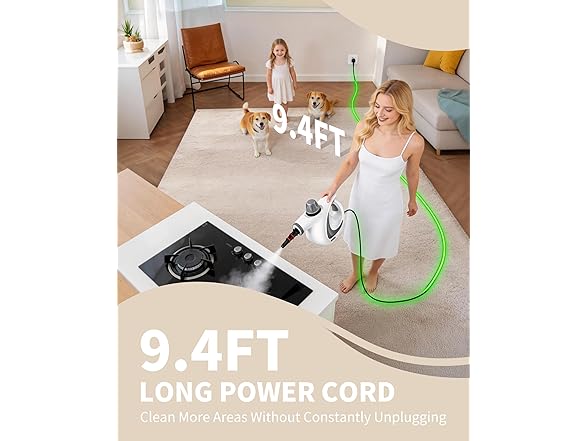Pressurized Steam Cleaner