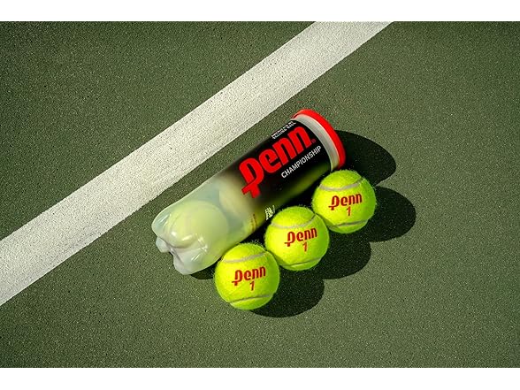 Penn Championship Tennis Balls 12 Cans